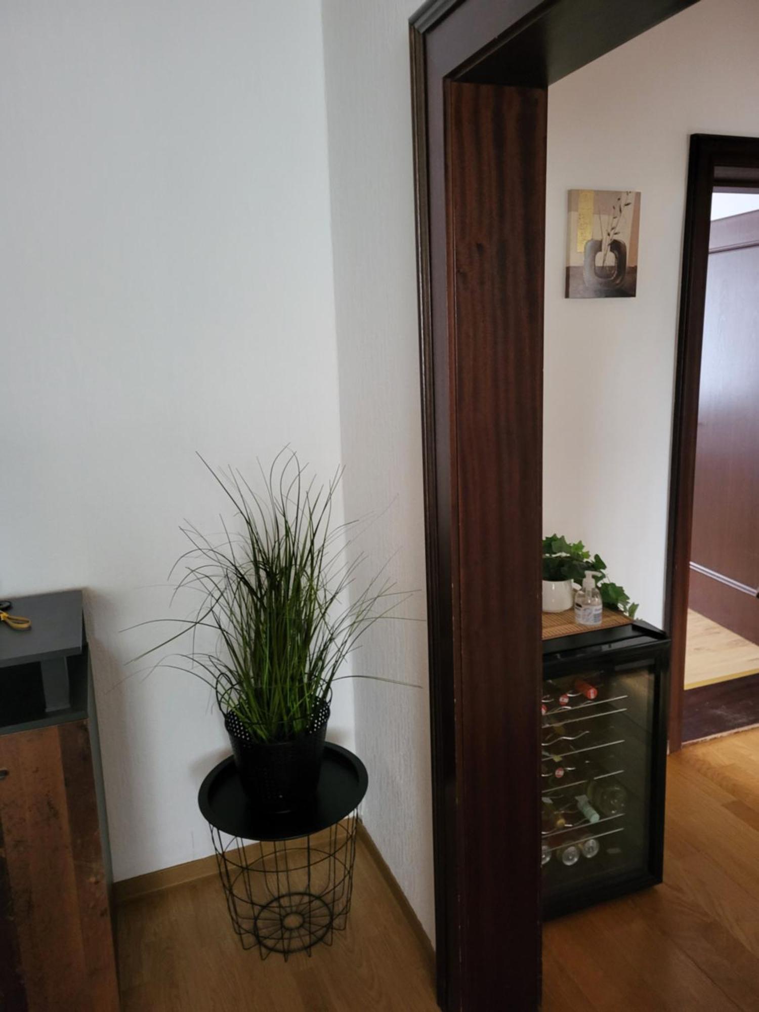 Apartament Gemuetliches Wohnen In Frauenkirchen Im Burgenland Zewnętrze zdjęcie